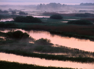Naklejka premium Biebrza National Park (Biebrzanski Park Narodowy), Poland