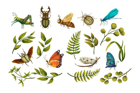 Vector Icon set with cute 3d insect.