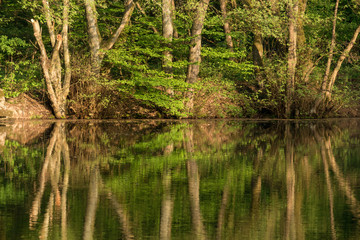 Wasserspiegelung