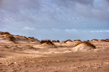 Dunes on the North Frisian Island Amrum in Germany
