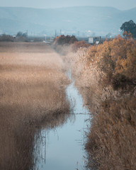 Río
