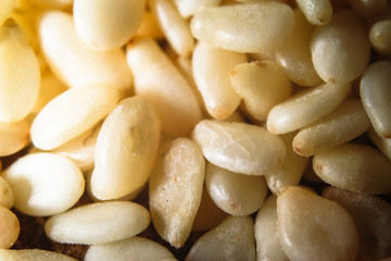 Sesame seeds background. Extreme macro photography.
