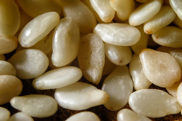 Sesame seeds background. Extreme macro photography.
