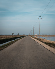 Delta roads