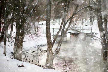 Winter landscape of country fields and roads