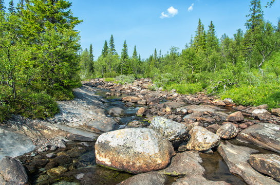 Mountain brook in summer season