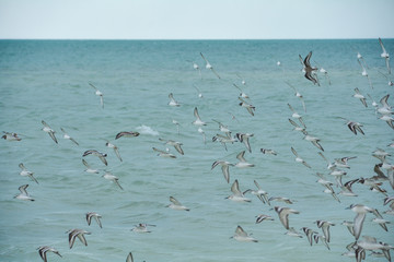 views of key islands