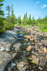 Mountain brook in vertical view