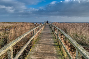 Obraz premium On the North Frisian Island Amrum in Germany