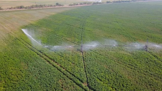 Irrigation system of fields. Aerial