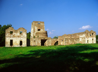 Fototapeta na wymiar ruins of ironworks, Samsonow, Poland