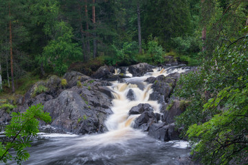 waterfall in forest