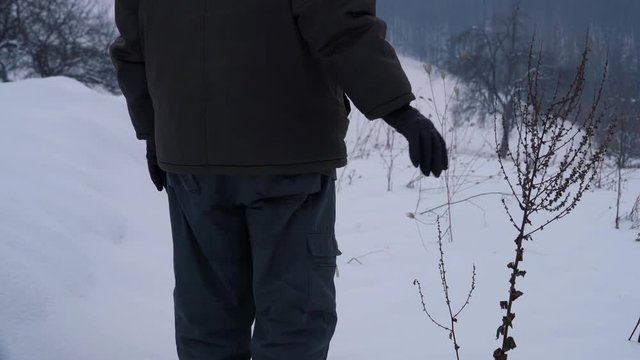 Man goes through dry wildflowers in deep snow - (4K)