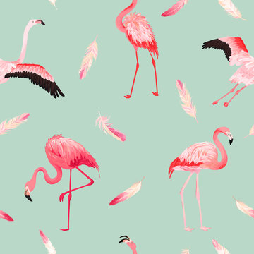 Tropical Flamingo seamless vector summer pattern with pink feathers. Exotic Pink Bird background for wallpapers, web page, texture, textile. Animal Wildlife Design © wooster