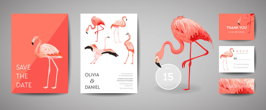 Set of Tropical retro wedding invitation card, modern Save the Date, template design of flamingo bird illustration. Vector trendy cover, pastel graphic poster, brochure