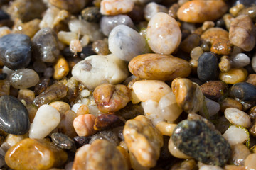Obraz na płótnie Canvas Close-up colorful wet sea pebbles. Background or texture of small pebbles. Multicolor stones