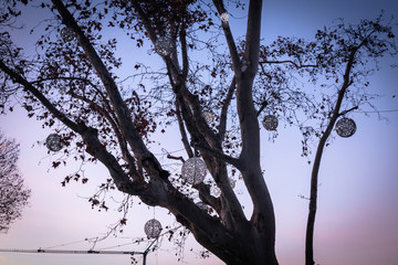 beautiful outdoor christmas decoration on trees in sunset in koper, slovenia