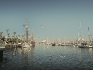 Fototapeta na wymiar Barcelona summer marina with yachts and seagulls. 
