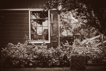 View at old wooden countryside house in Holland, Netherlands . Image in sepia color style