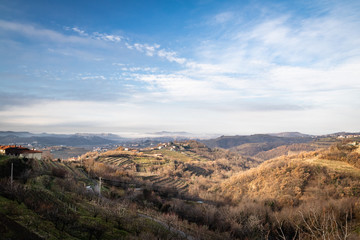 beautiful vineyard terraces in goriska brda in wintertime sunlight, slovenia