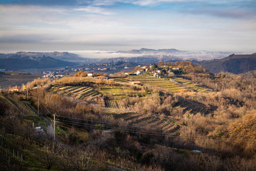 beautiful vineyard terraces in goriska brda in wintertime sunlight, slovenia - obrazy, fototapety, plakaty