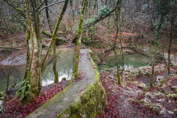 beautiful gorge ravine Krcnik, slovenia