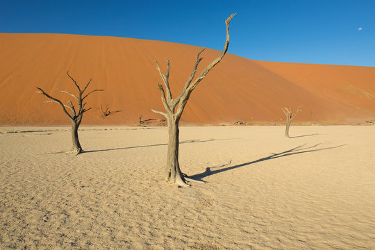 Sossusvlei & Deadvlei Namibia