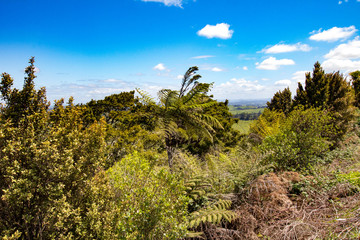 Landscapes of New Zealand