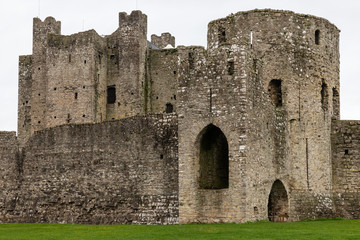 Fototapeta na wymiar Ruins of Trim castle