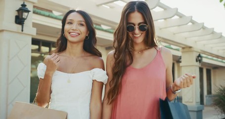 Happy beautiful young woman shopping together