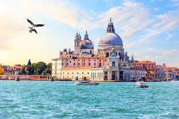 Fototapeta na wymiar Venice, view of the Basilica Santa Maria della Salute