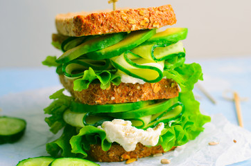 Sandwich with Avocado, Cucumber and Cream Cheese, Healthy Snack