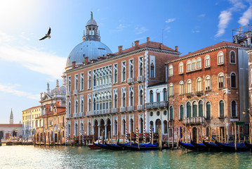 Grand Canal of Venice in Italy, view on Santa Maria della Salute basilica and gondolas
