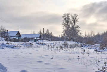 Fototapeta na wymiar Several Russian houses in the village near the forest in winter