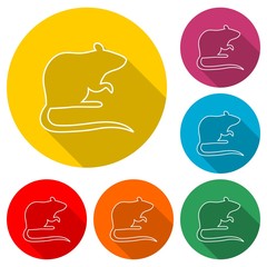 Mouse wild animal flat icon or logo, color set  with long shadow