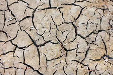 Cracked land background