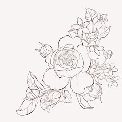 Vector rose with wild flower. Element for design. Hand-drawn contour lines and strokes.
