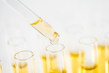Pipette und Reagenzgläser mit Flüssigkeit