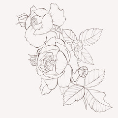 Photos, illustrations et vidéos de bouquet roses peinture
