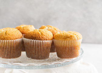 Homemade tasty miffins on white background