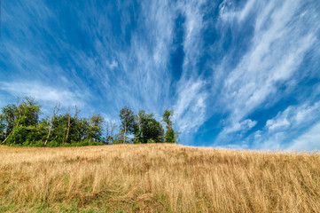 Mountain landscape. Sunny day.
