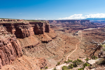 Scenic overlook at Canyonlands Islands in the Sky National Park in Utah on a sunny day