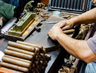 Traditional manufacture of cigars at the tobacco factory. Closeup of old hands making a cigar from...