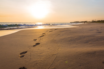 Landscape of sunset on paradise tropical beach in Sri Lanka