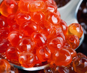 fish eggs caviar spoon concept © Emoji Smileys People
