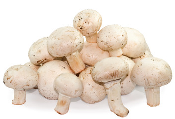 Button mushrooms Isolated