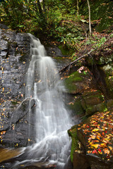 Fototapeta na wymiar Juney Whank Waterfall, Great Smokey National Park, North Carolina