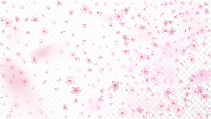 Nice Sakura Blossom Isolated Vector. Pastel Flying 3d Petals Wedding Texture. Japanese Nature Flowers Illustration. Valentine, Mother's Day Feminine Nice Sakura Blossom Isolated on White