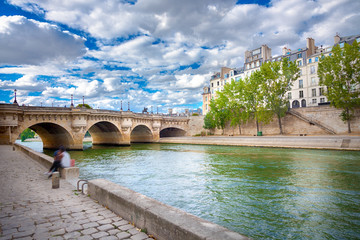View of the Pont Neuf, Paris - obrazy, fototapety, plakaty