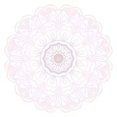 Modern Decorative Cicle Shapes. Floral mandala. vector illustration